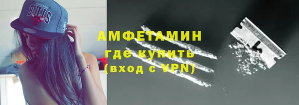 индика Алзамай