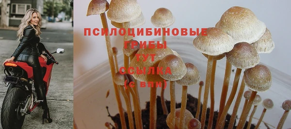 меф VHQ Новозыбков
