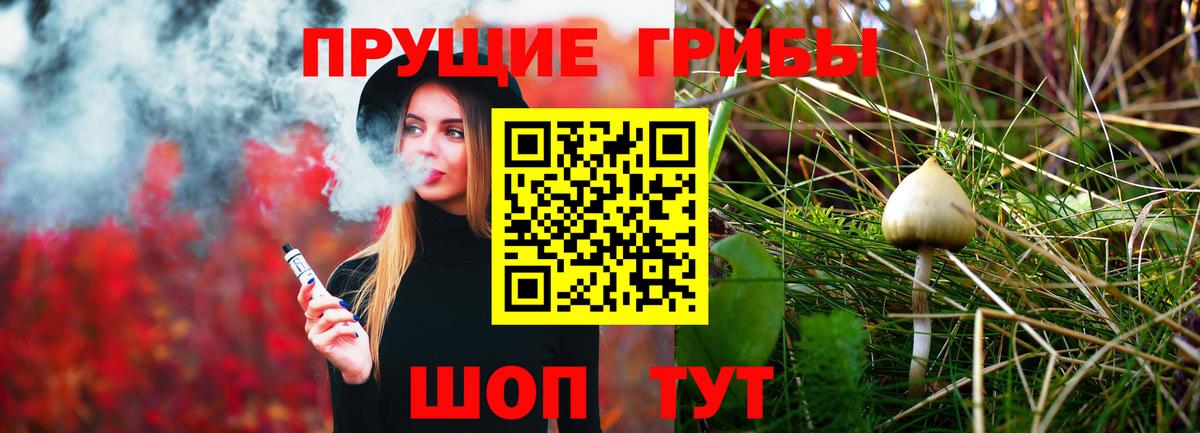 Усть-Лабинск  Галлюциногенные грибы мицелий  Вход с VPN  Псилоцибиновые грибы Psilocybe 